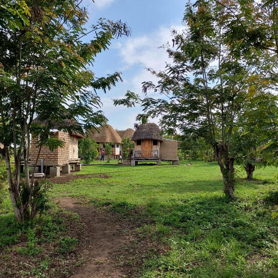 Songbird Safari Lodge & Campsite Katunguru Εξωτερικό φωτογραφία