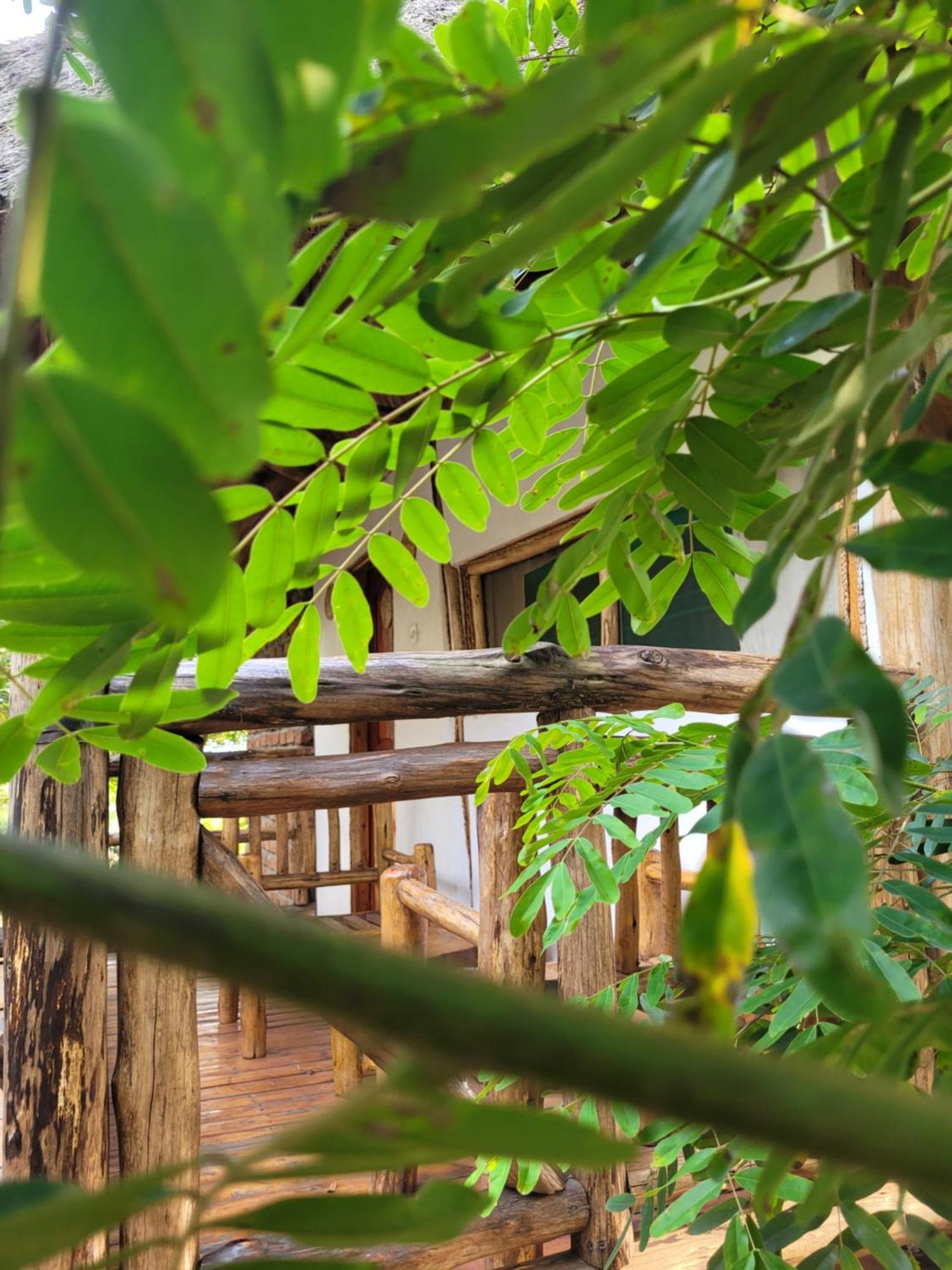 Songbird Safari Lodge & Campsite Katunguru Εξωτερικό φωτογραφία